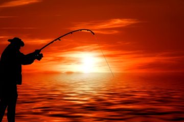 spinnerbaits kaufen